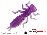 Perchik Beetle - col 30